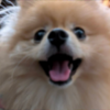 2026-3D-kenshuu_002.png